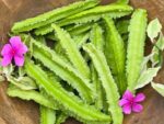 சதுர அவரை (Winged Bean)500g