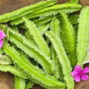சதுர அவரை (Winged Bean)500g