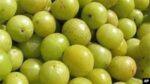 Amla [indian gooseberry]1kg